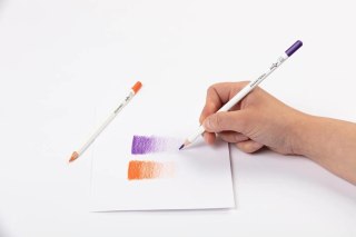 Kredki ołówkowe Darwi 12 kolorów